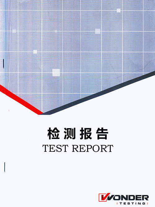 肩悦检测报告